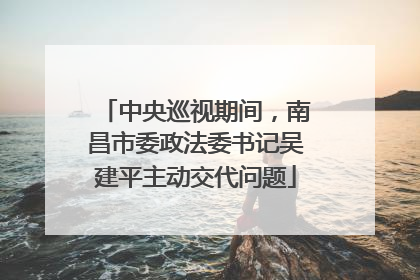 中央巡视期间，南昌市委政法委书记吴建平主动交代问题